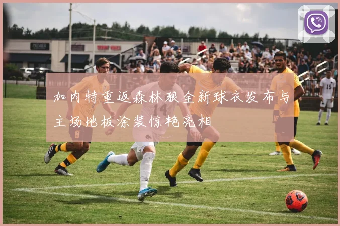 加内特重返森林狼全新球衣发布与主场地板涂装惊艳亮相