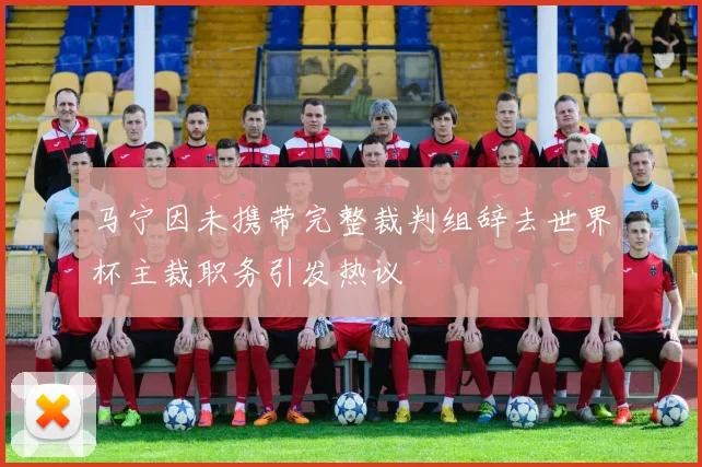 马宁因未携带完整裁判组辞去世界杯主裁职务引发热议